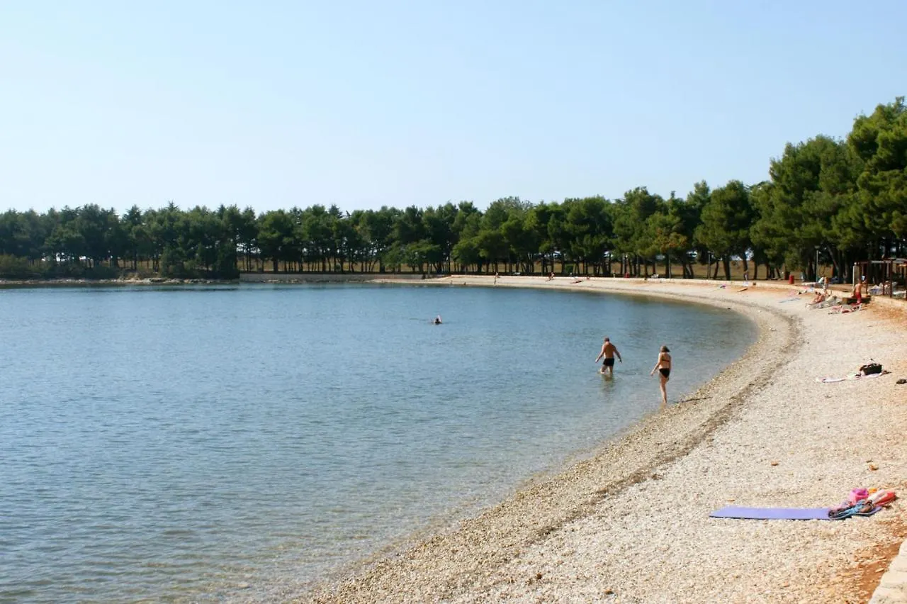 Apartments With A Parking Space Novigrad - 7049 Hırvatistan